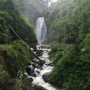 Meet your Posher, Jan